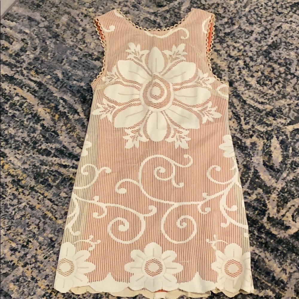 Delicate Lace and Silk Mini Dress